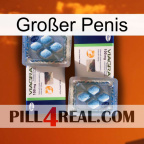 Großer Penis viagra5